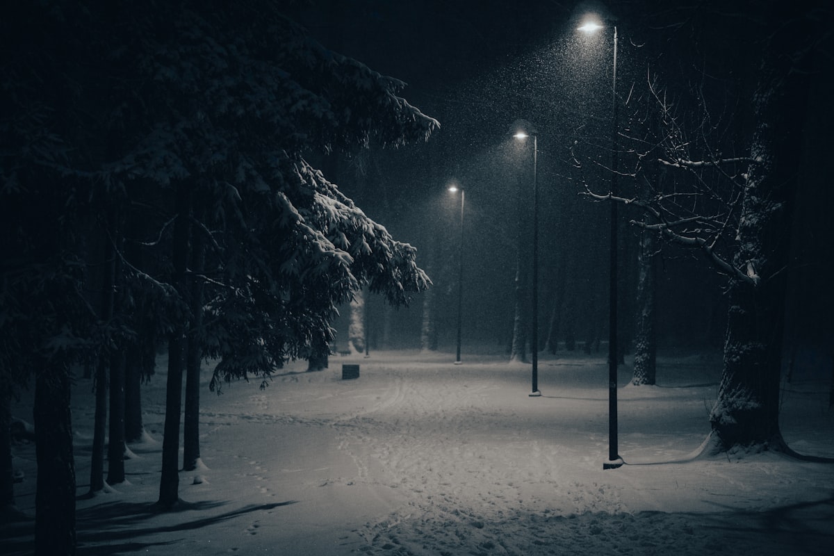 雪の公園・街灯・静寂