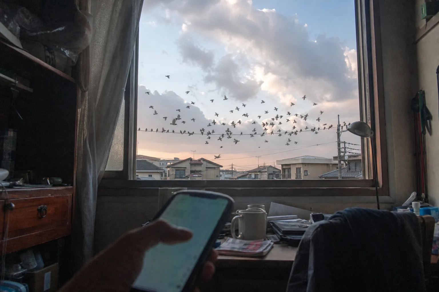 スマホを持ったまま止まった親指の向こうで、電線の雀がいっせいに大空へ飛び立った瞬間